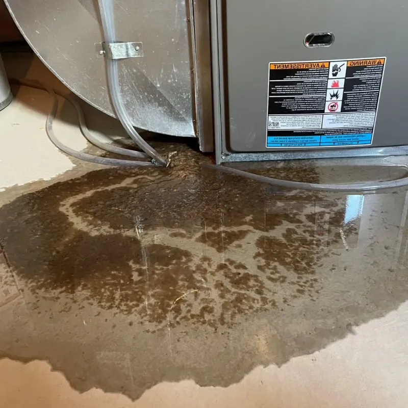 Pipe Burst and Leak Restoration in Lake Station, IN
