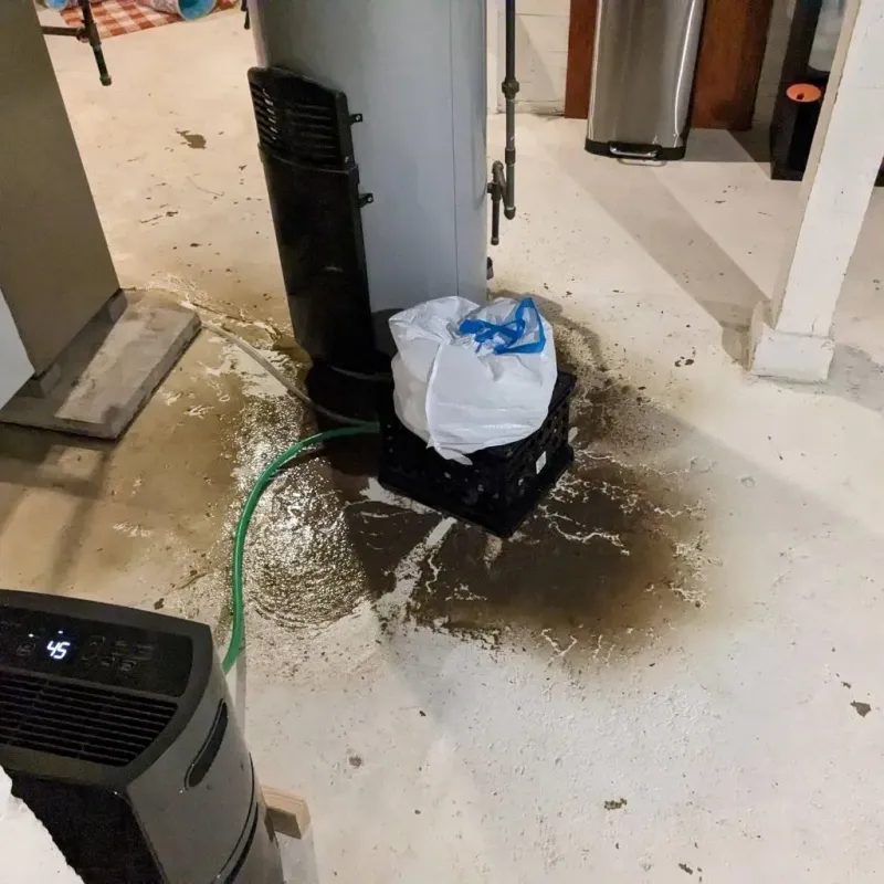 Sewage Backup Cleanup Service in Lake Station, IN